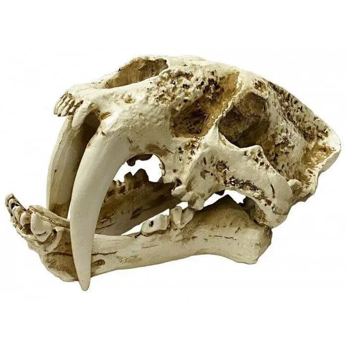 Naturalistic Skulls saber-tooth Reptile Hideout Terrarium Decor Lugarti