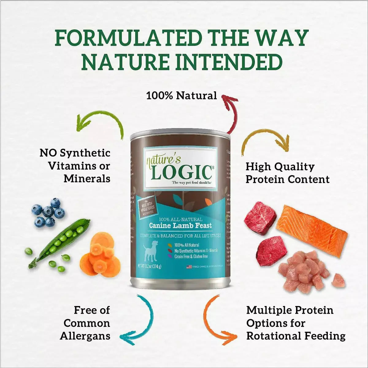 Nature's Logic Lamb Feast Grain-Free Canned Dog Food 13.2 oz case of 12 Nature's Logic