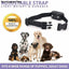 New 2019] Dog Shock Training Collar with Remote Talis Us