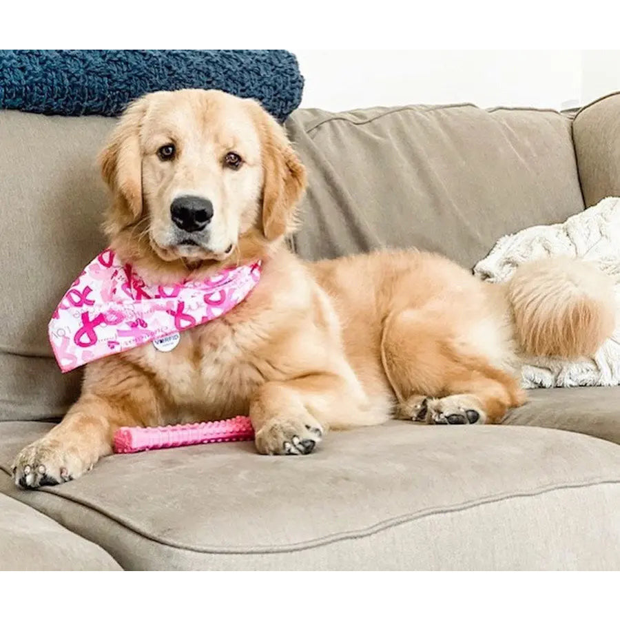 Nylabone Breast Cancer Awareness Chicken Dog Power Chew Toy Nylabone