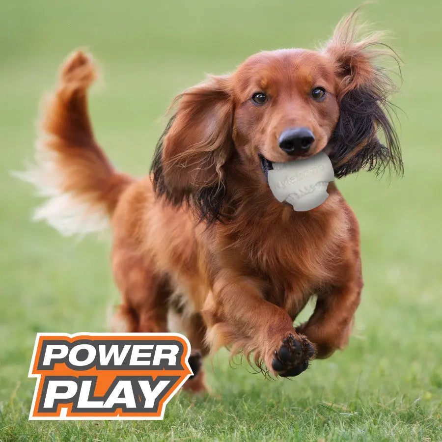 Nylabone Power Play Dog Baseball Gripz Nylabone