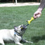 Nylabone Power Play Interactive Dog Toy Shake-a-Toss SMall Nylabone
