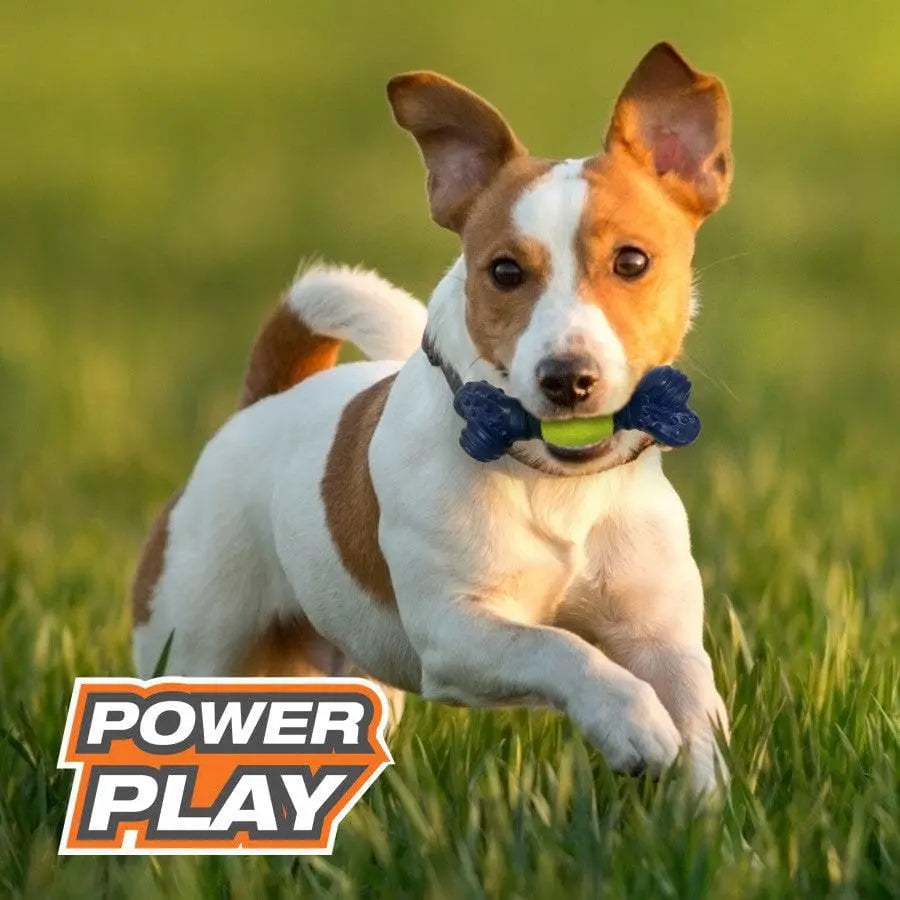 Nylabone Power Play Tennis Play 'n Fetch Interactive Dog Toy Play 'n Fetch Nylabone