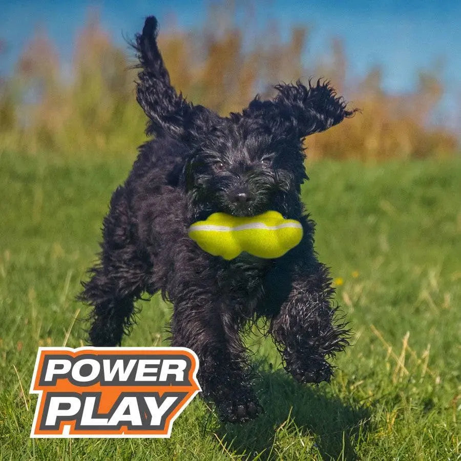 Nylabone Power Play Tennis Teddy Gripz Bear Dog Toy Teddy Nylabone