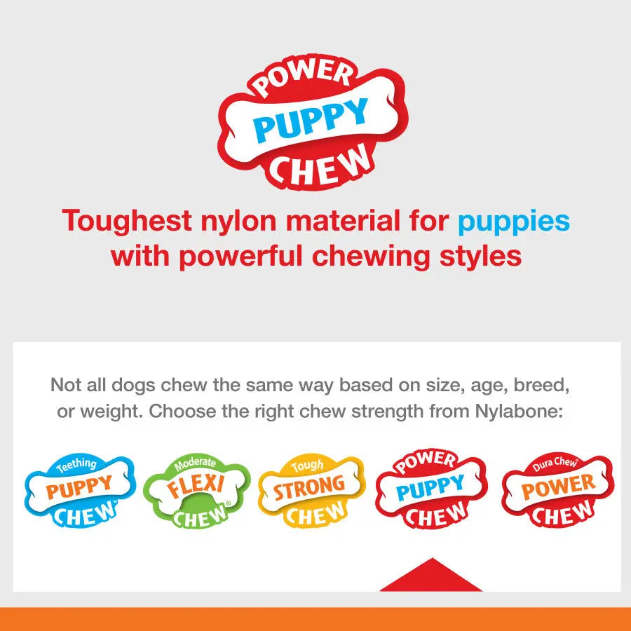Nylabone Puppy Power Chew Knuckle Bone & Pop-In Puppy Treat Toy Combo Nylabone