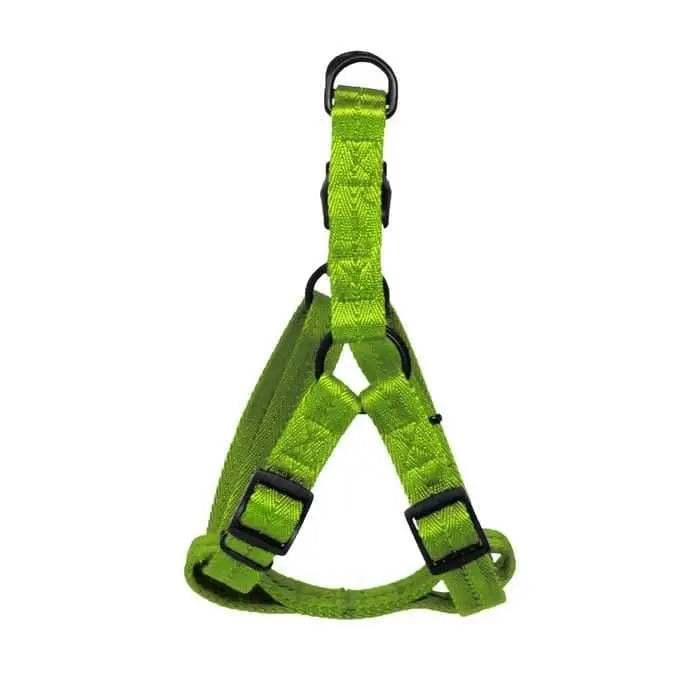 Nylon Flat Step-In Dog Harness Comfortable, Lightweight Harness for Walking or Training Small, Dogline