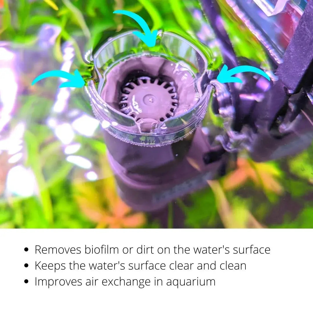 Oase CrystalSkim Surface Aquarium Skimmer – Talis Us