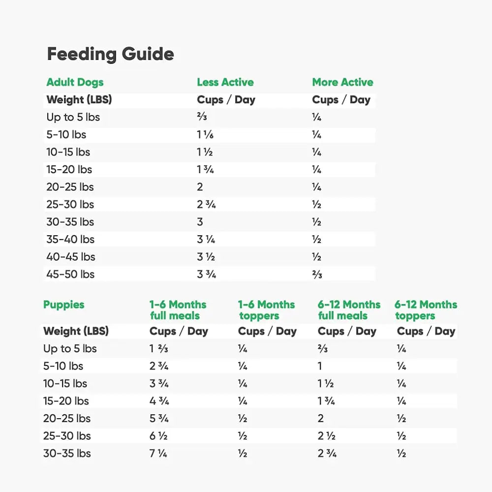 Open Farm® Homestead Turkey Freeze Dried Raw Dog Food Open Farm