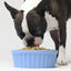 Open Farm®Rustic Stew Wet Dog Food Grain-Free Meal 12.5oz Open Farm