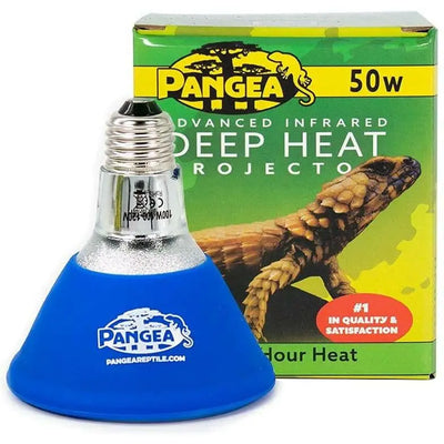 Pangea Deep Heat Projector for Reptiles Pangea