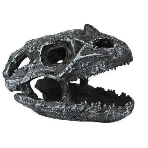 Pangea Dinosaur Skull Cave Pangea