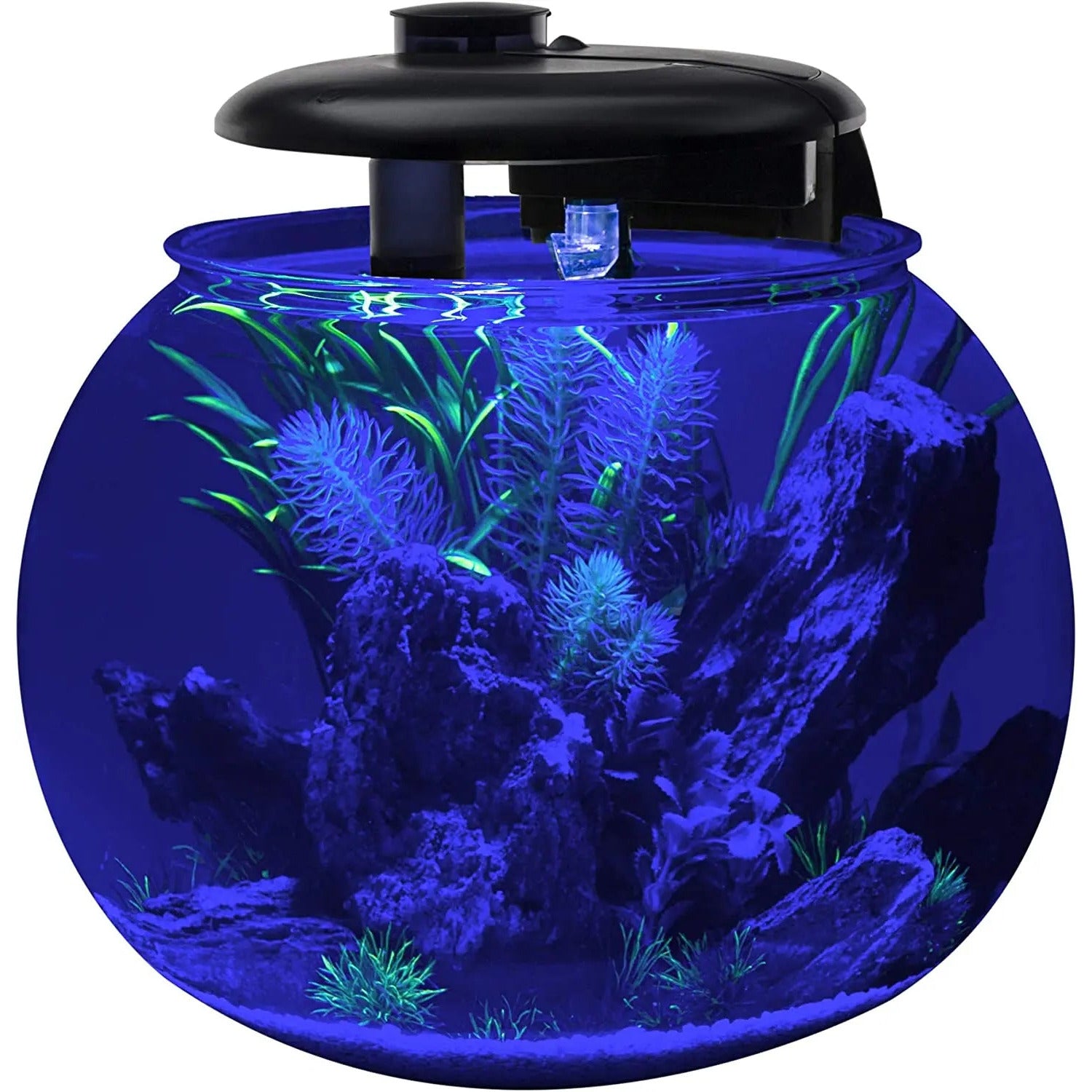 Penn-Plax AquaSphere Aquarium for Freshwater and Saltwater Filtration System and LED Light Display Penn-Plax Aqua