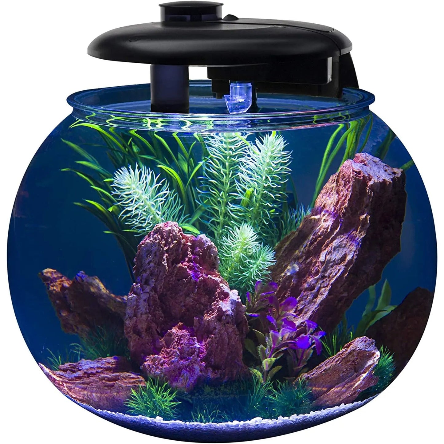 Penn-Plax AquaSphere Aquarium for Freshwater and Saltwater Filtration System and LED Light Display Penn-Plax Aqua