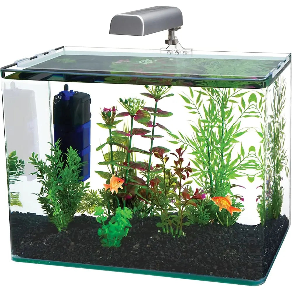 Penn-Plax Radius Aquarium Kit LED Light, Internal Filter Perfect for Shrimp & Fish 10 Gallon Tank Penn-Plax Aqua