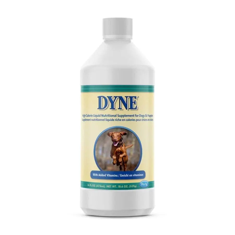 Pet-Ag DYNE High Calorie Nutritional Supplement Dog & Puppies Talis Us