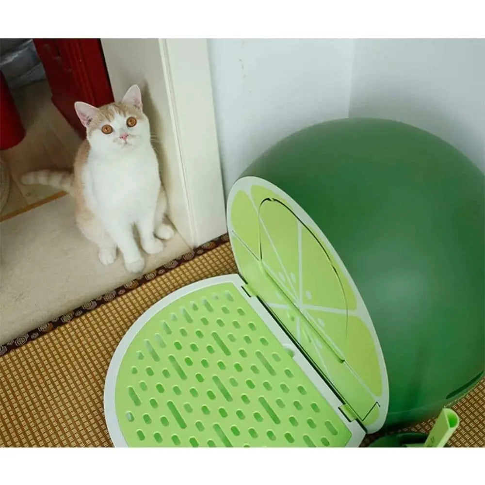 Pet Large Lime Grapefruit Fully Closed Litter Box Cat Toilet Training Kit Talis Us