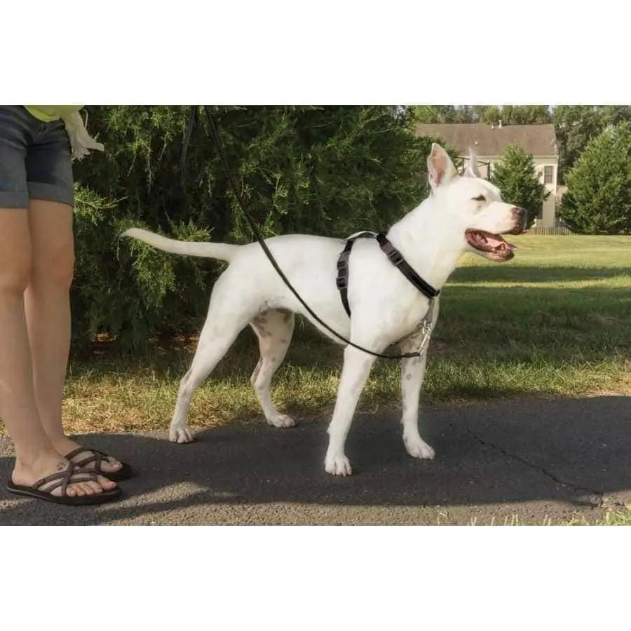 PetSafe 3in1 Dog Harness PetSafe CPD