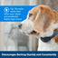 PetSafe Audible Bark Collar w/Soundburst Technology Talis Us