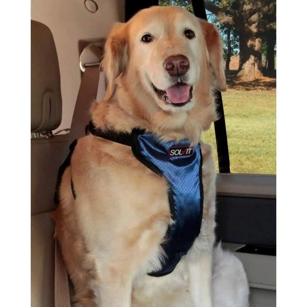 PetSafe Happy Ride Safety Dog Harness Black, Blue PetSafe CPD