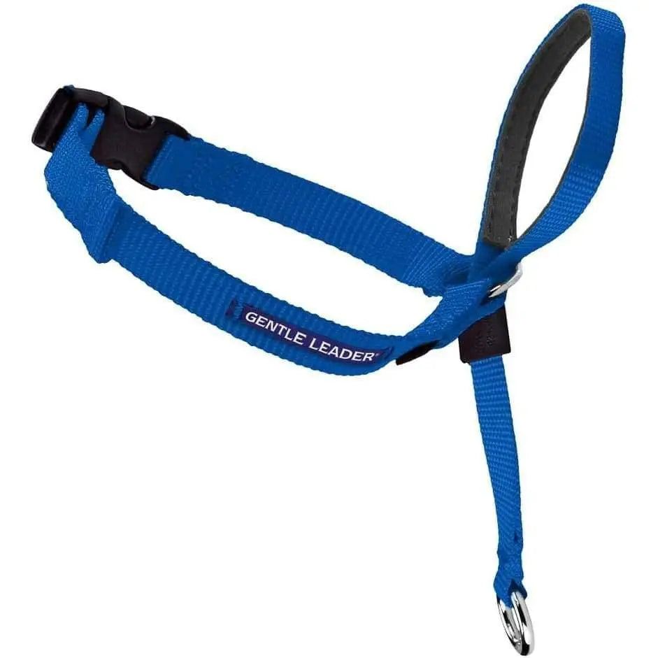 PetSafe Headcollar No-Pull Dog Collar PetSafe CPD