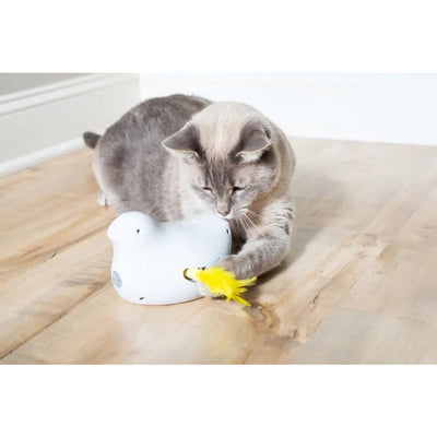PetSafe Peek-A-Bird Automatic Cat Moving Toys PetSafe