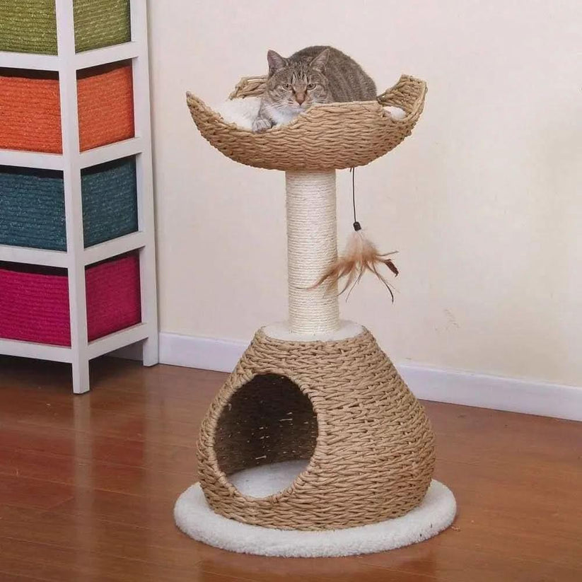 Petpals Walk Up 2 Level Cat Tree with Condo Perch Sisal Post and