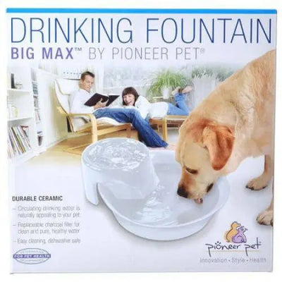 Pioneer Big Max Ceramic Drinking Fountain - White Pioneer Pet