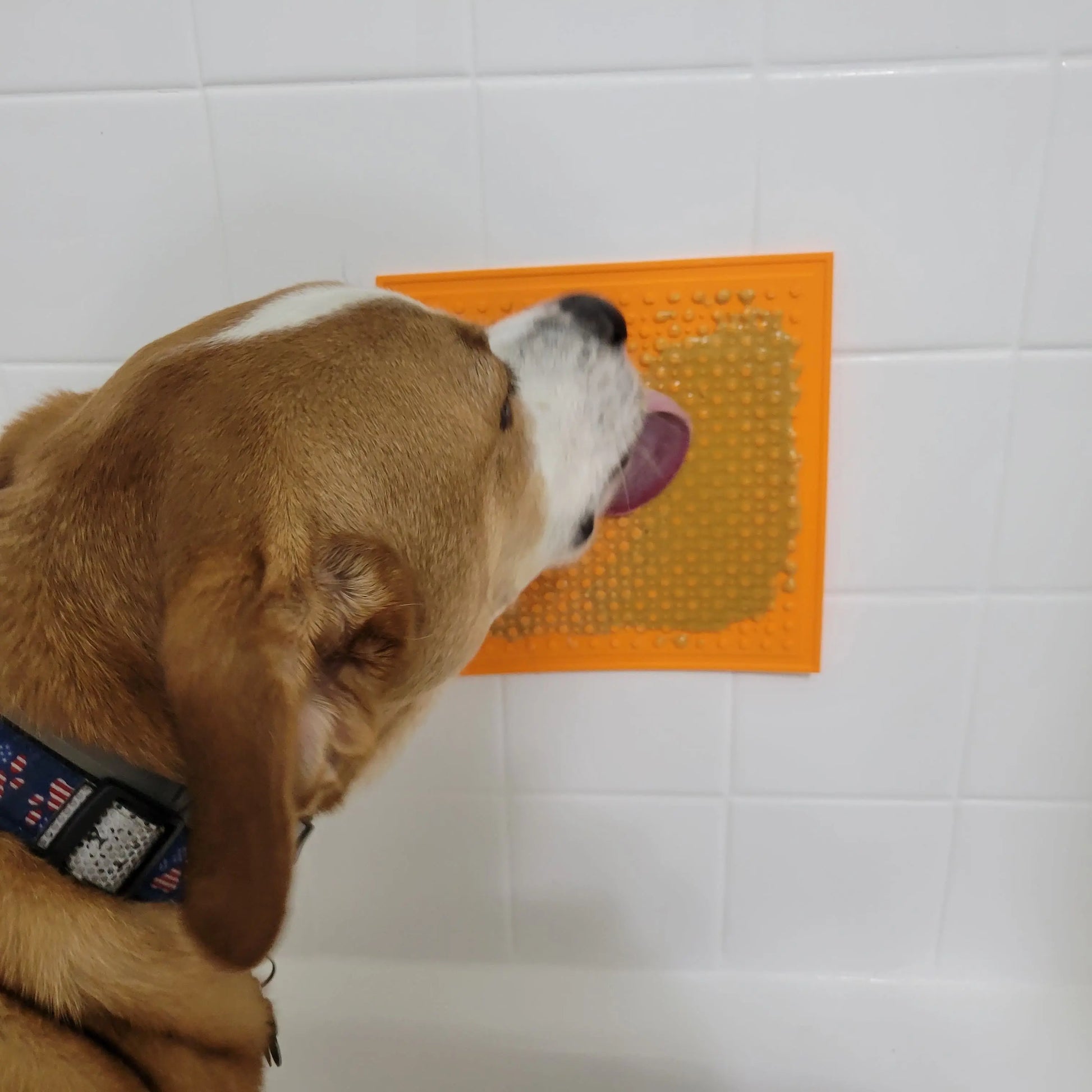 Poochie Butter Lick Pad (with Suction Cup) Poochie Butter