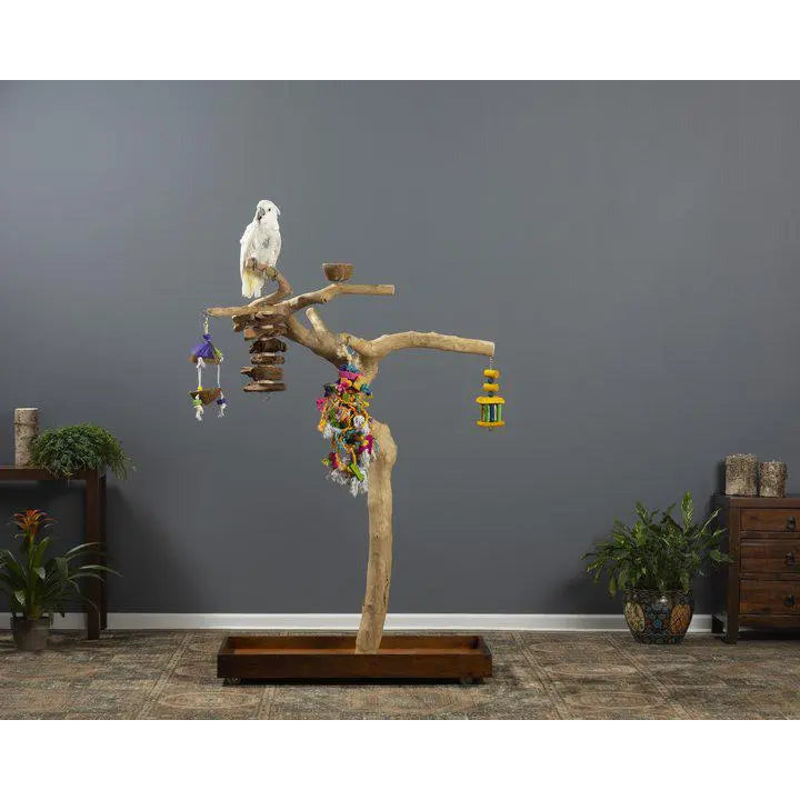 Java wood parrot bird perch tree stand – Talis Us