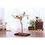 Prevue Pet Products Coffeawood Perch Tree Style 2 Floor Stand Prevue Pet