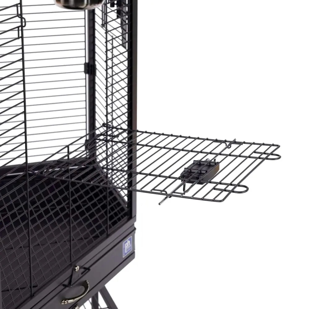 https://talis-us.com/cdn/shop/products/Prevue-Pet-Products-Corner-Cage-with-Playtop-Prevue-Pet-1670651773.jpg?v=1670651774&width=1445