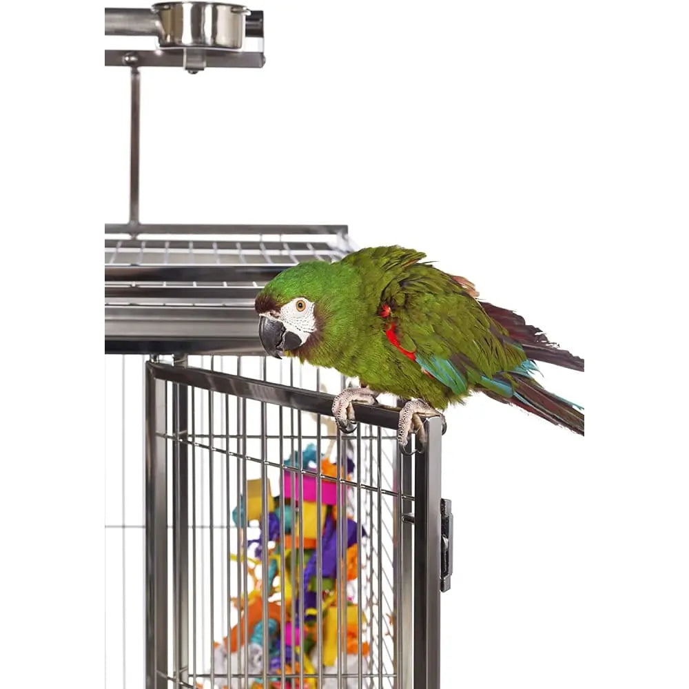 Prevue Pet Products Large Stainless Steel Bird Cage Talis Us