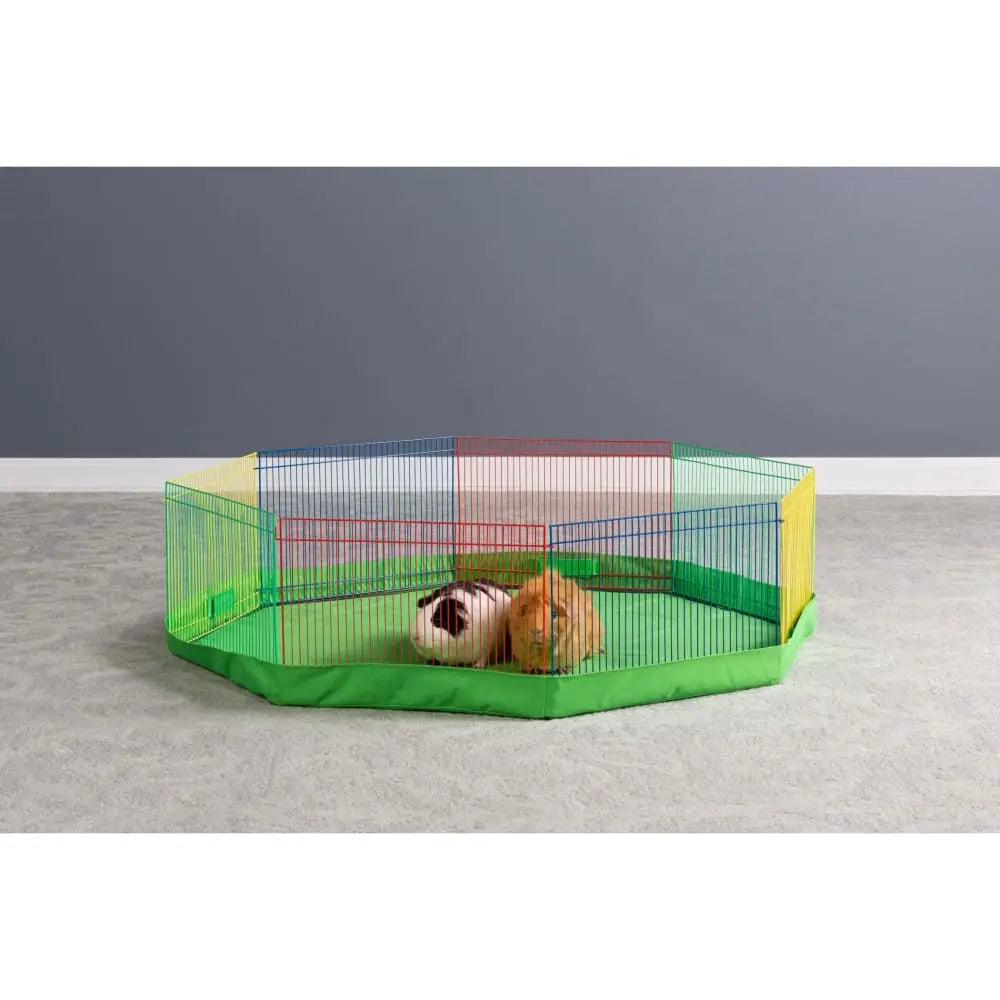 Shops leopard gecko playpen