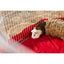 Prevue Pet Products Pet Playpen Ferret, Rabbit Prevue Pet