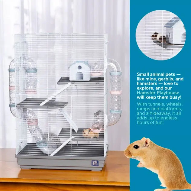 Hamster ramps outlet