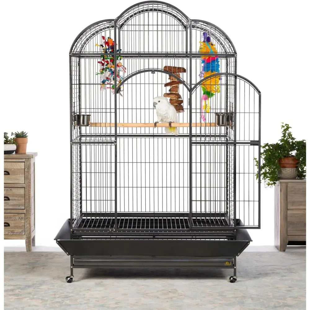 Prevue Pet Products Silverado Macaw Dome Top Bird Cage Iron Talis Us