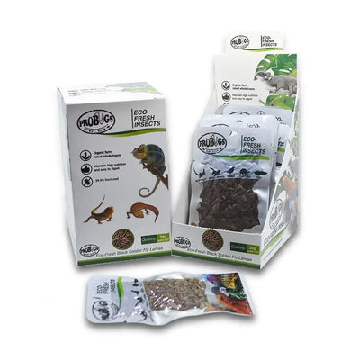 Pro Bugs Eco-Fresh Black Soldier Fly Larvae for Fish, Lizards, Turtles, Wild Birds Food Pro Bugs