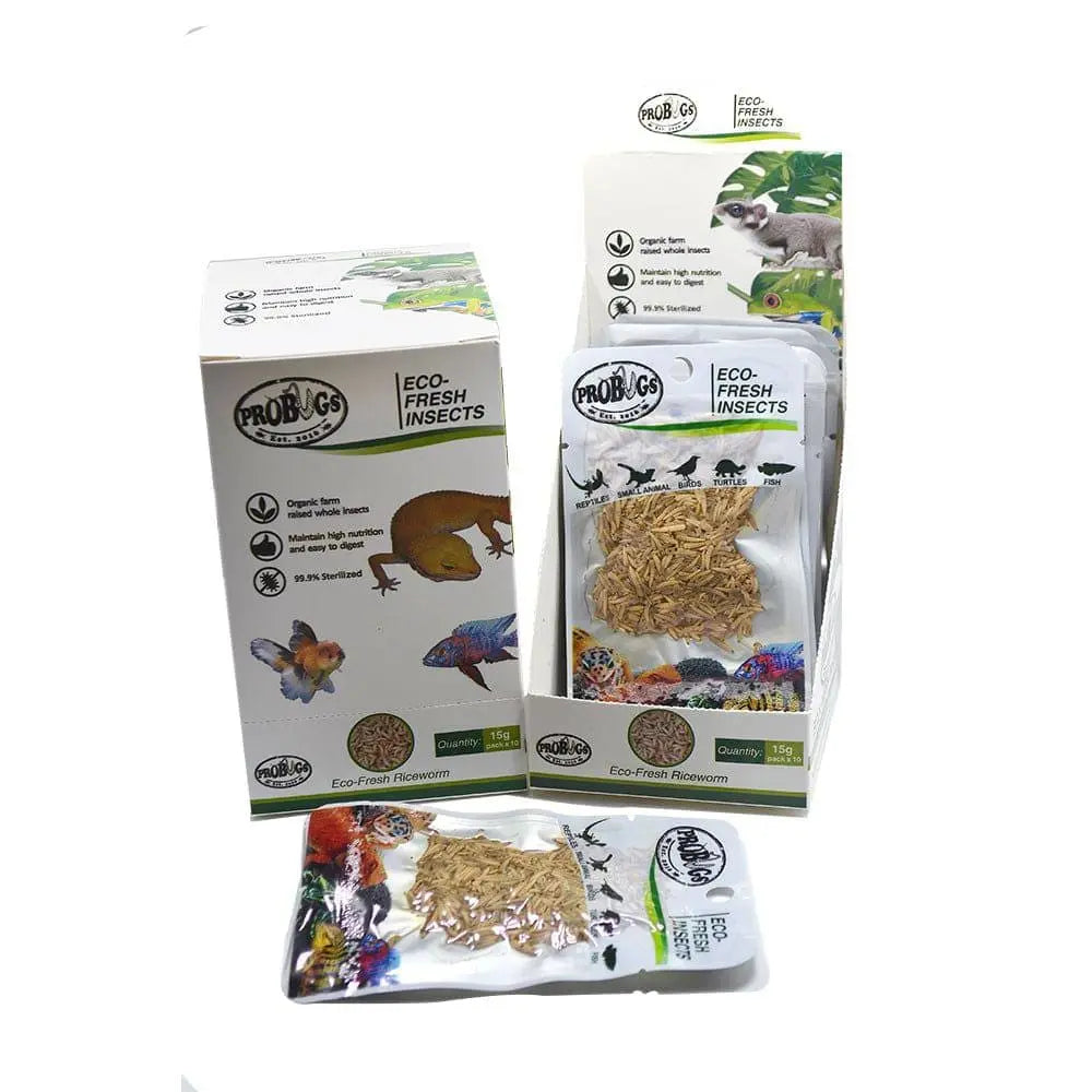 Pro Bugs Eco-Fresh Rice worm for Finches, Conures, Tropical Fish, Frogs food Pro Bugs