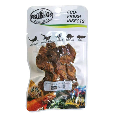 Pro Bugs Eco-Fresh Silkworm Pupae for Geckos, lizards, Birds, Koi Food Pro Bugs
