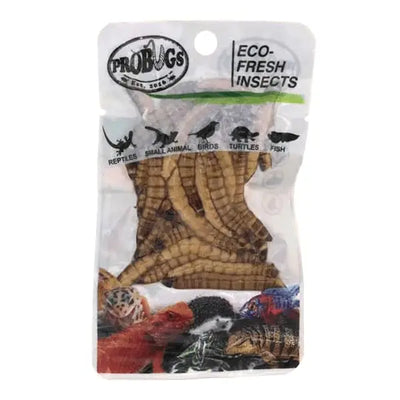 Pro Bugs Eco-Fresh Superworm for Lizards, Turtles, Birds, Koi food Pro Bugs