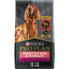 Pro Plan Sensitive Skin & Stomach Lamb & Oatmeal Dog Purina Pro Plan