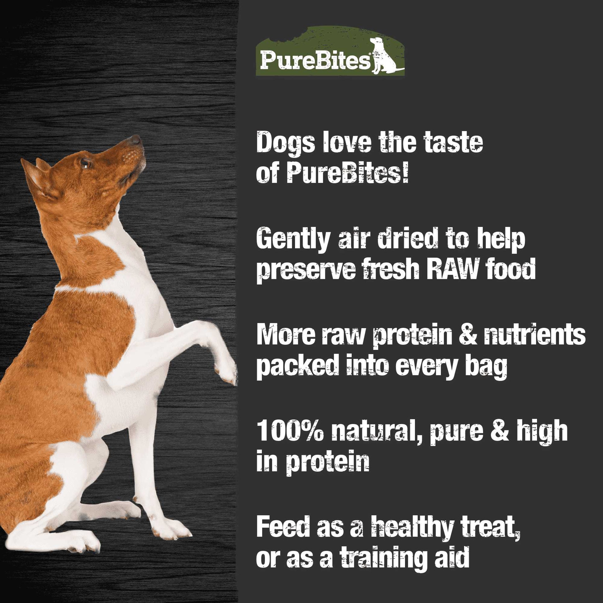 PureBites Air Dried Pure Dog Treats Pure Treats