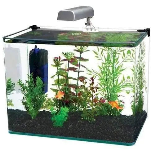 Radius 5 Gallon Glass Aquarium Kit Penn-Plax Aqua