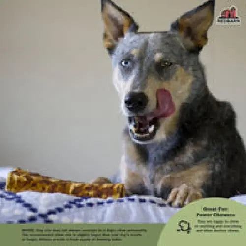 Redbarn Pet Products Bully Coated Bone Dog Chew 1ea/Large, 5 oz Redbarn