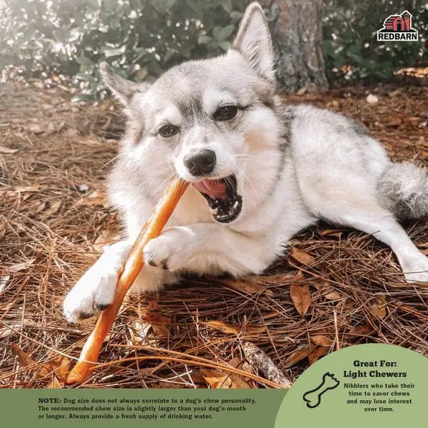 Redbarn Pet Products Collagen Stick Dog Treats Redbarn