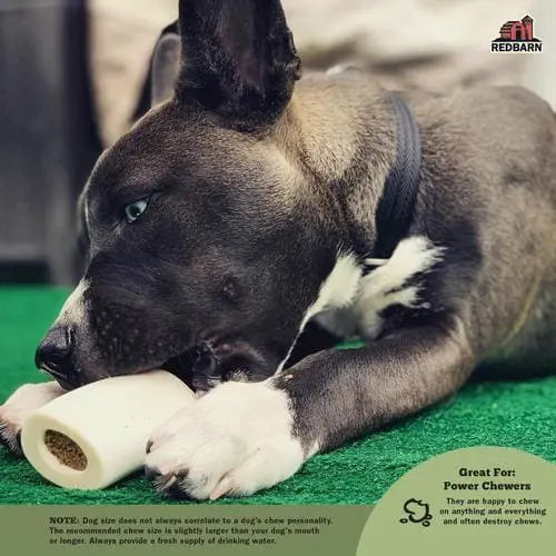 Redbarn Pet Products Filled Bone Peanut Butter Dog Treat Redbarn