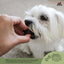 Redbarn Pet Products Lamb Lung Training Dog Treat 1ea Redbarn