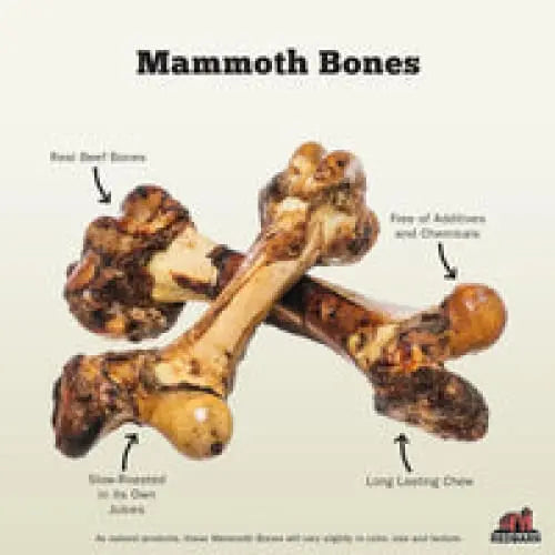 Redbarn Pet Products Mammoth Bone Dog Chew 1ea/30 oz Redbarn