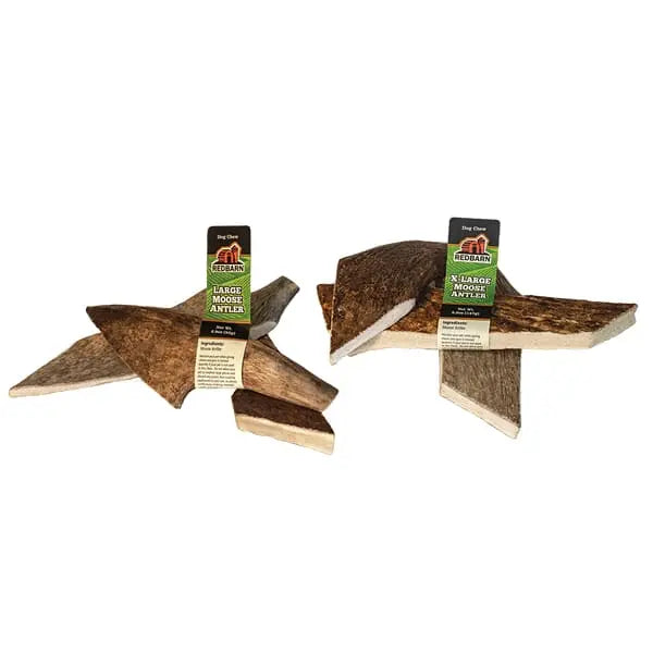 Redbarn Pet Products Moose Antler Dog Chew 12 ct Redbarn