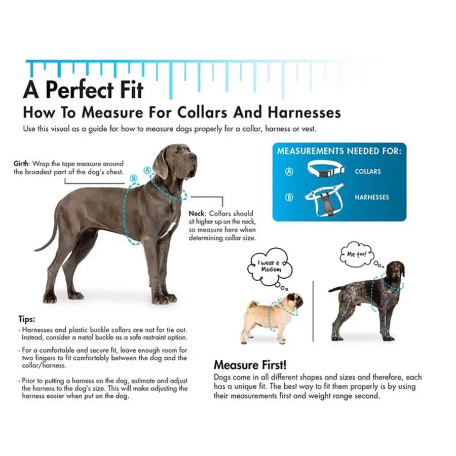 2 Wide Sharp Spiked Studded Leather Dog Collars Pitbull Bulldog Big Dog  Collar Adjustable – Talis Us